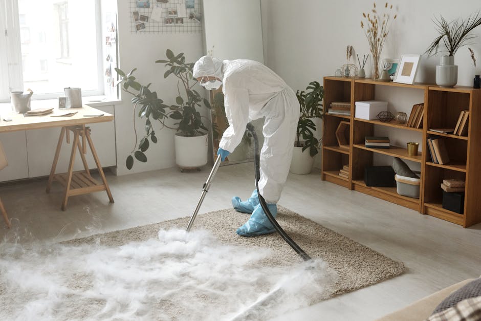 A professional cleaner dressed in a white protective suit, mask, and blue gloves is using a steam cleaning machine on a plush beige carpet in a bright living room. The room features a modern wooden bookshelf with decorative items, books, and a plant in a white vase. The interior has light-colored walls, a large leafy potted plant, and natural lighting, demonstrating thorough surface cleaning and hygienic maintenance typical of domestic cleaning services provided by Ealing Carpet Cleaning in Ealing. The steam from the cleaning device creates a visible cloud on the carpet surface, indicating deep cleaning and sanitisation procedures in progress.